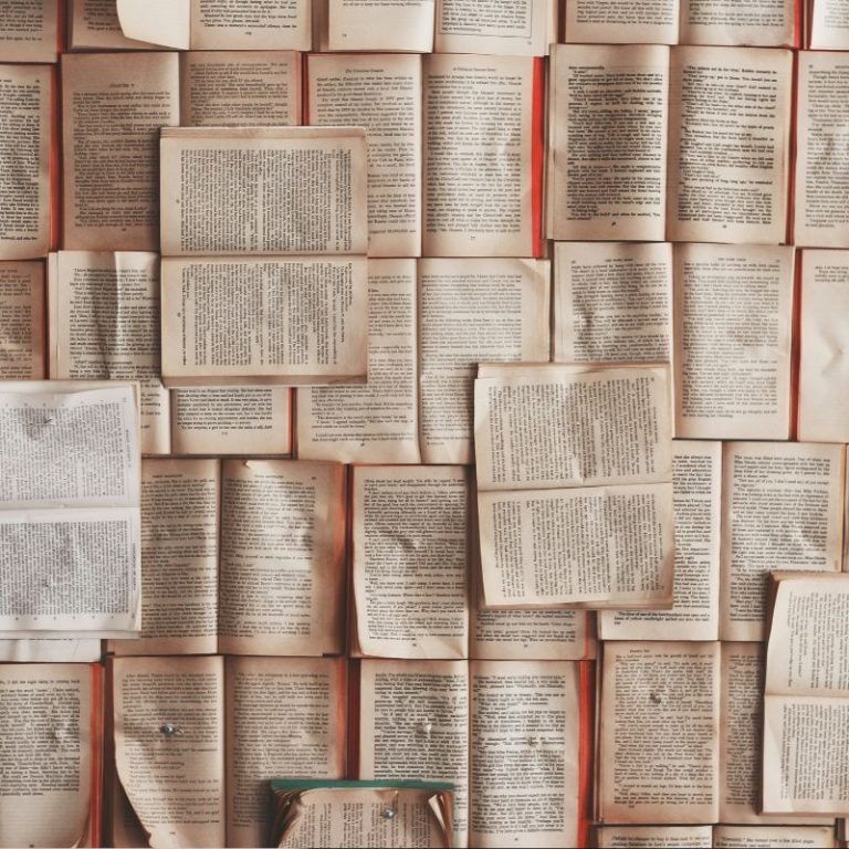 stories-article-image Stories